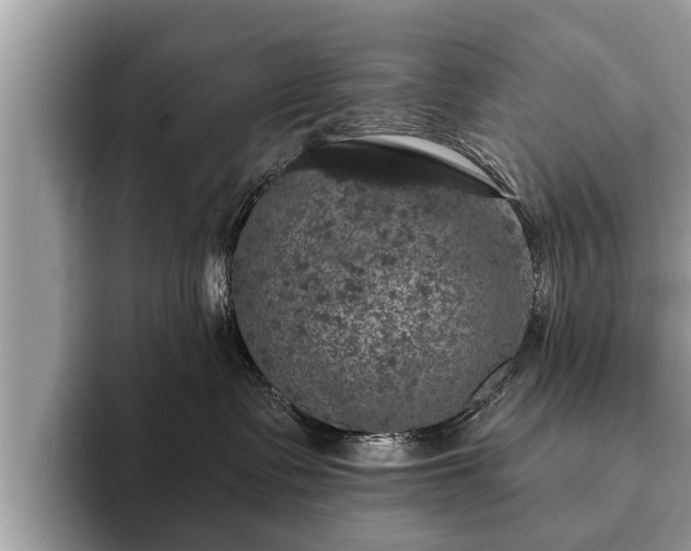 X0000093400335200710190929