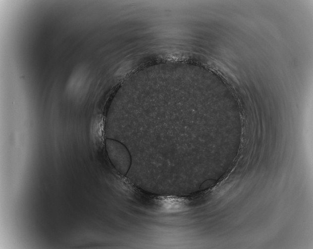 X0000093400336200710190929