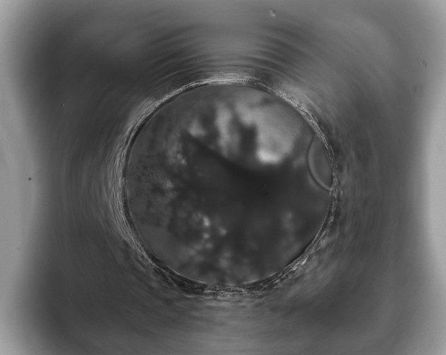 X0000093400337200710190929