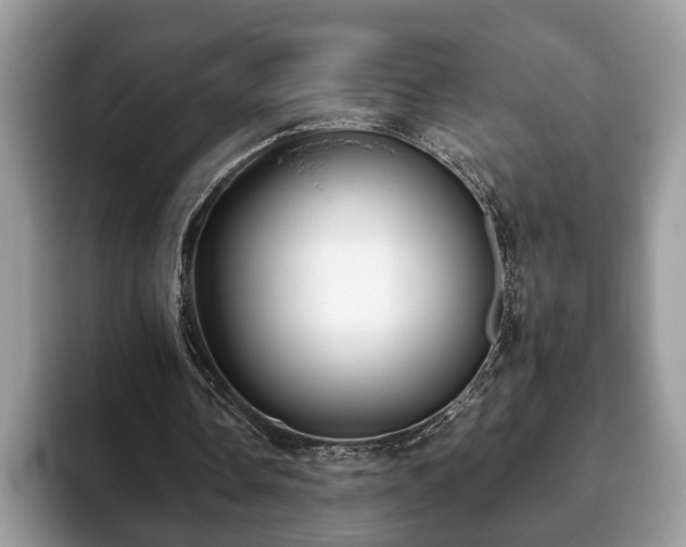 X0000093400338200710190929