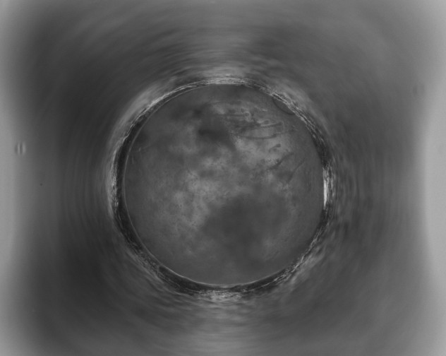 X0000093400339200710190929
