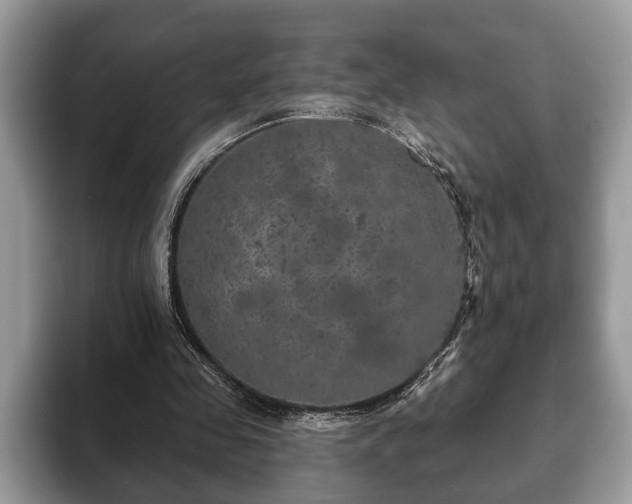 X0000093400341200710190929