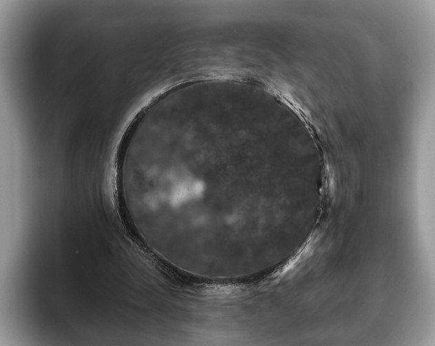 X0000093400342200710190929