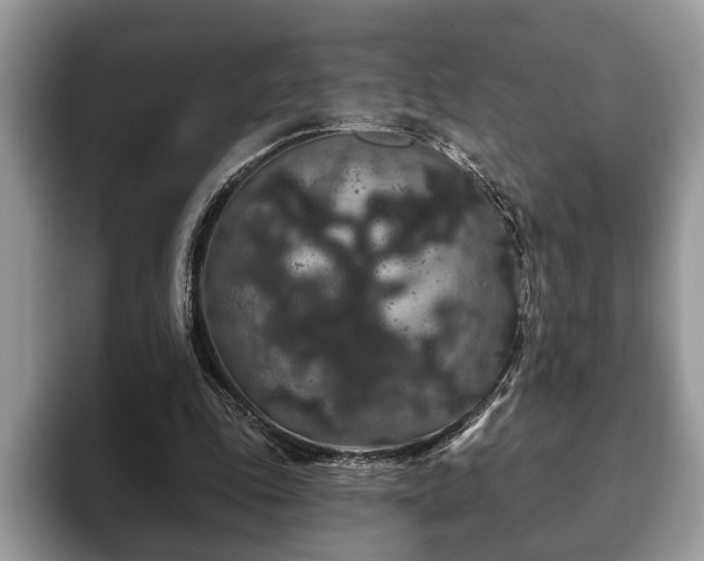 X0000093400343200710190929