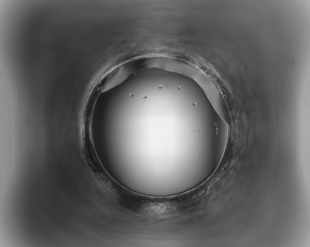 X0000093400344200710190929