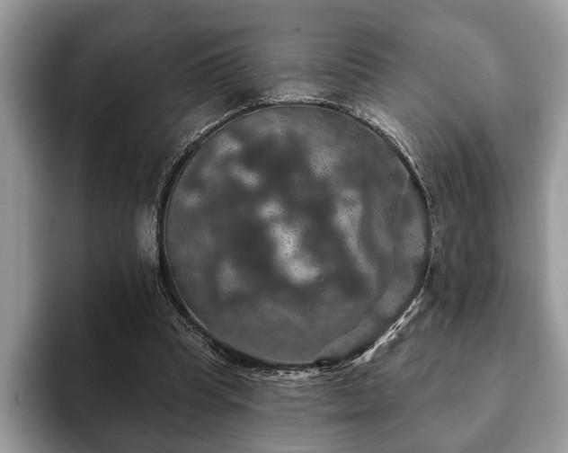 X0000093400345200710190929