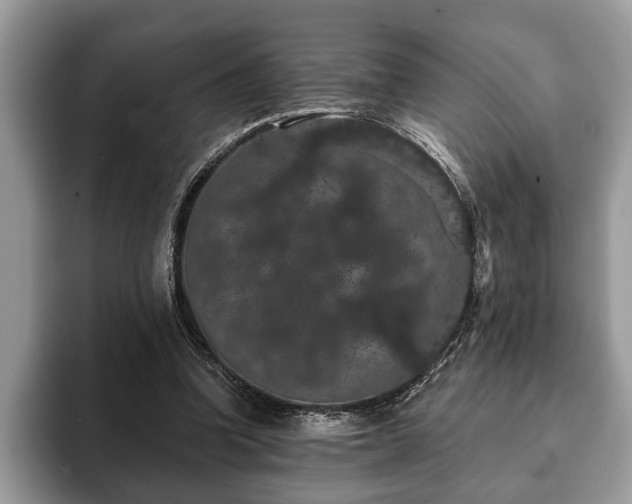 X0000093400346200710190929