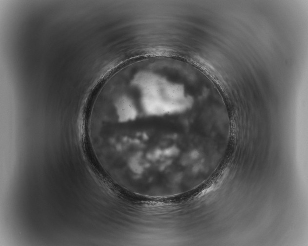 X0000093400347200710190929