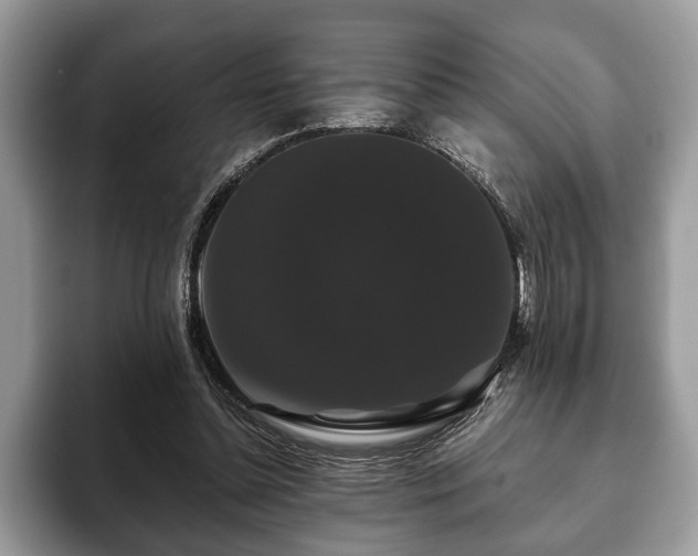 X0000093400348200710190929