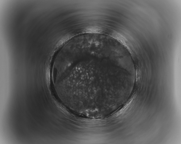 X0000093400349200710190929