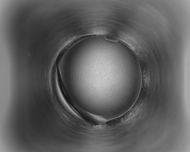 X0000093400350200710190929