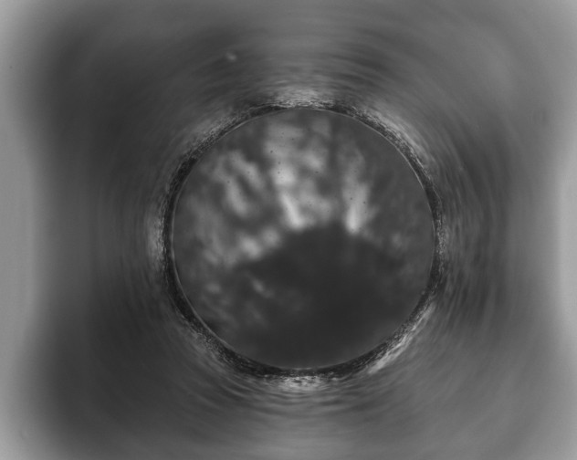 X0000093400353200710190929