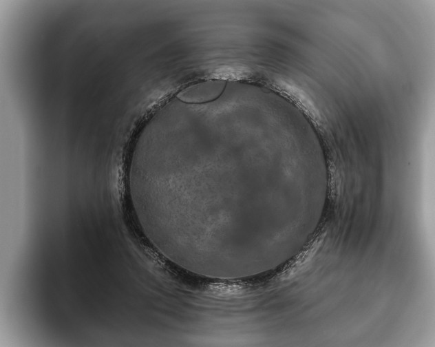 X0000093400354200710190929