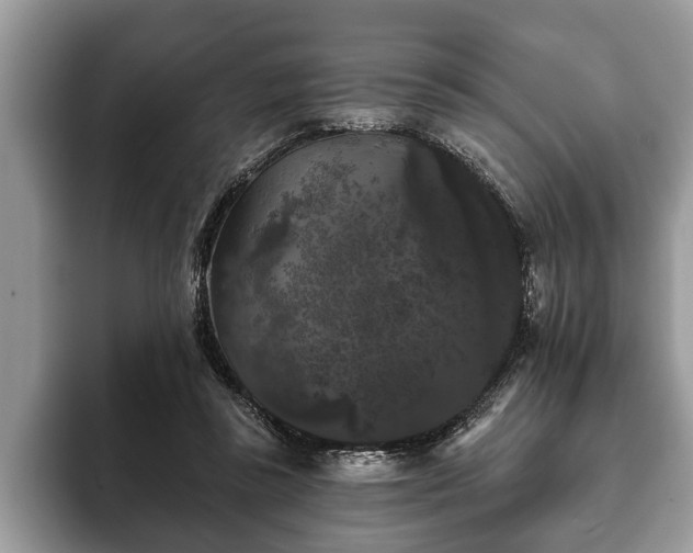 X0000093400355200710190929