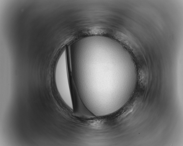 X0000093400356200710190929