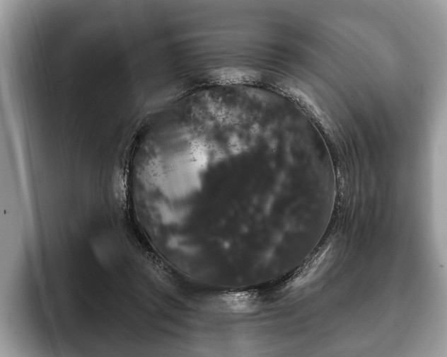 X0000093400357200710190929