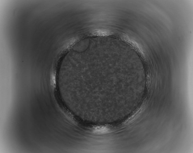 X0000093400358200710190929
