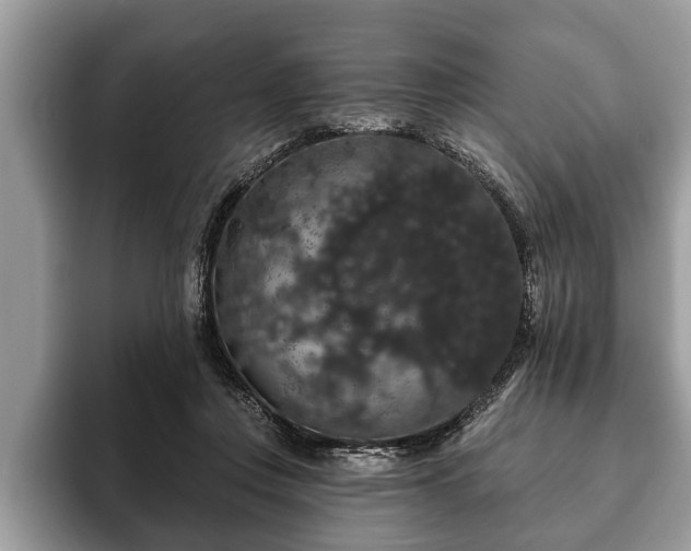 X0000093400359200710190929