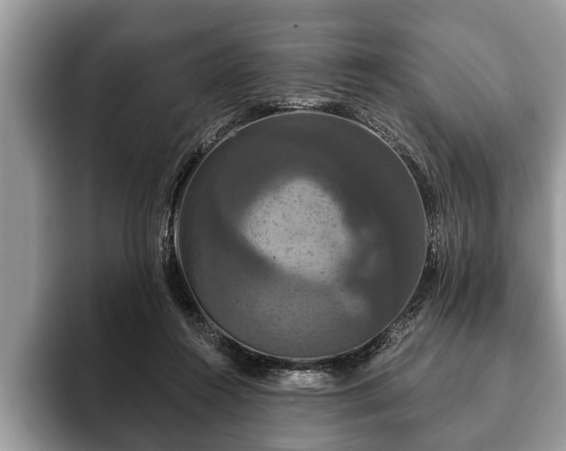 X0000093400360200710190929