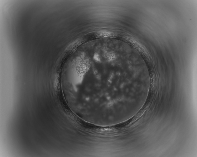 X0000093400361200710190929