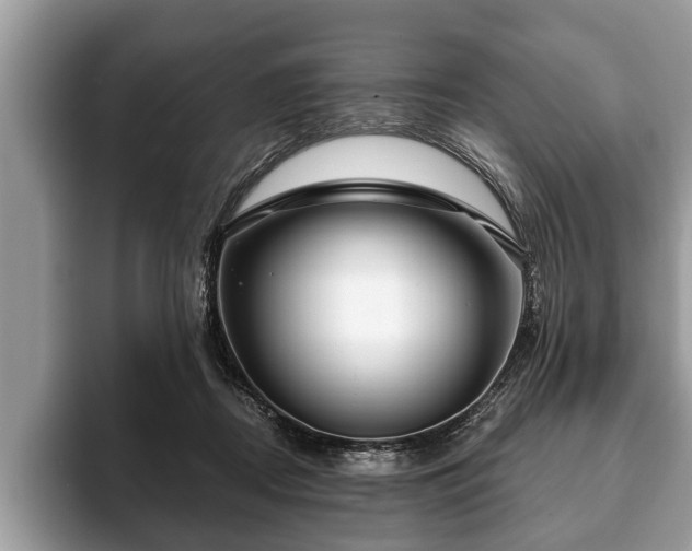 X0000093400362200710190929