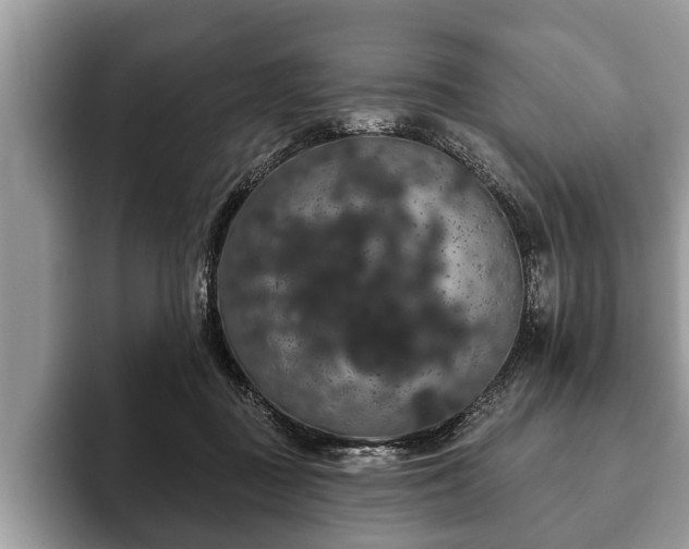 X0000093400363200710190929