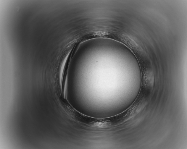 X0000093400364200710190929