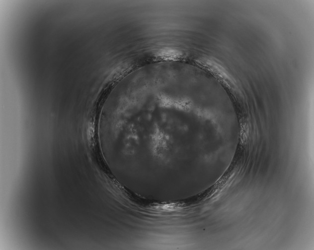 X0000093400365200710190929