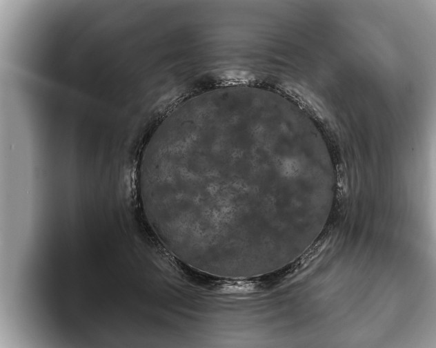 X0000093400369200710190929