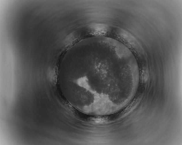 X0000093400370200710190929