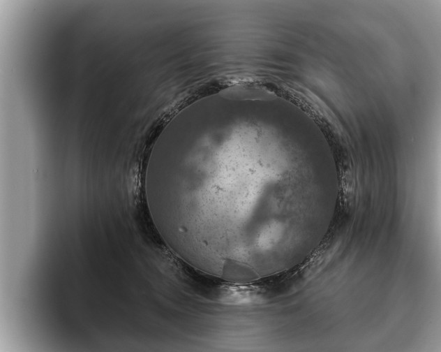 X0000093400372200710190929