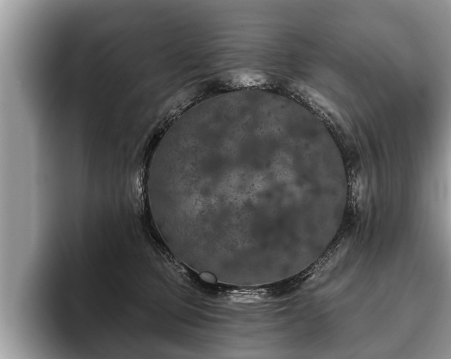 X0000093400373200710190929