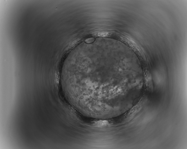 X0000093400374200710190929