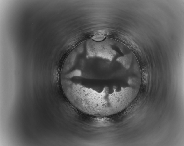 X0000093400375200710190929