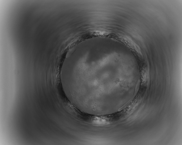X0000093400376200710190929