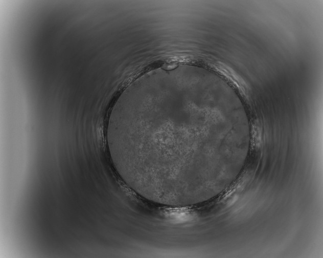 X0000093400377200710190929