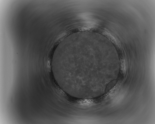 X0000093400378200710190929