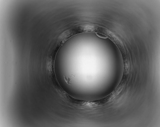 X0000093400379200710190929
