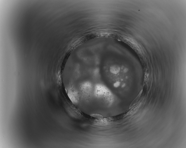 X0000093400381200710190929