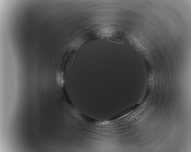 X0000093400383200710190929