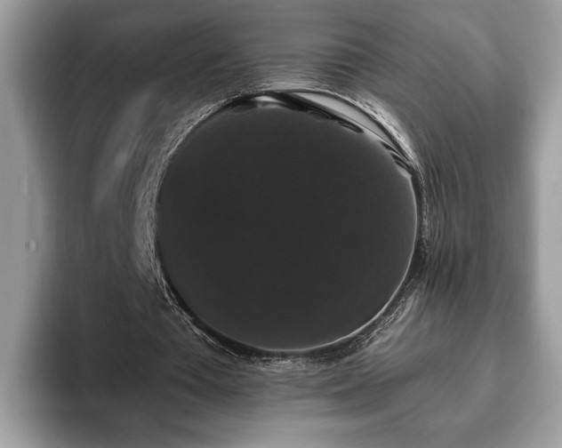 X0000093400385200710190929