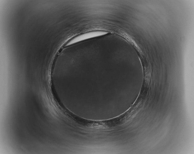 X0000093400386200710190929