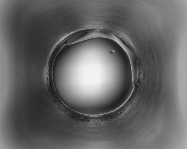 X0000093400388200710190929