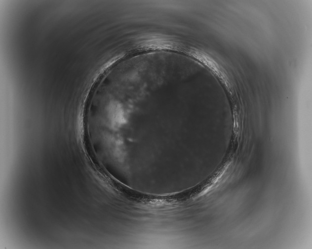 X0000093400390200710190929