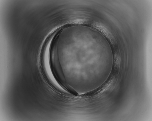 X0000093400392200710190929