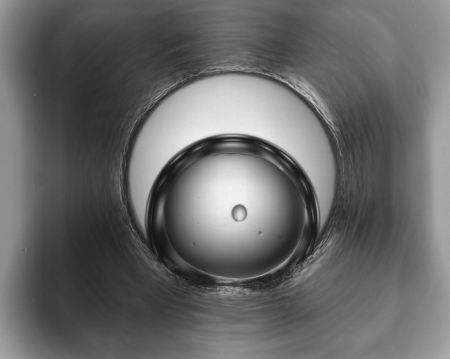 X0000093400393200710190929
