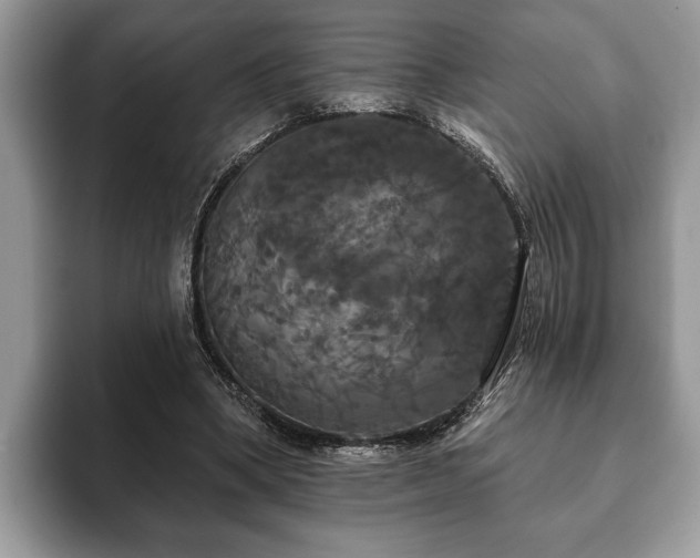 X0000093400394200710190929