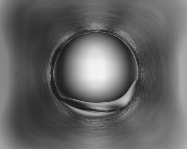 X0000093400395200710190929