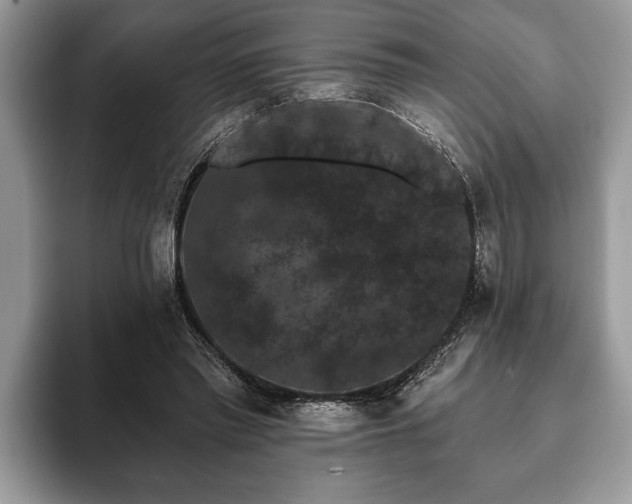 X0000093400397200710190929