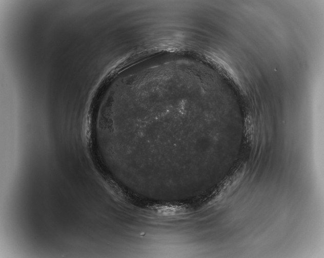 X0000093400400200710190929